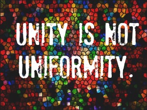 unity is not uniformity